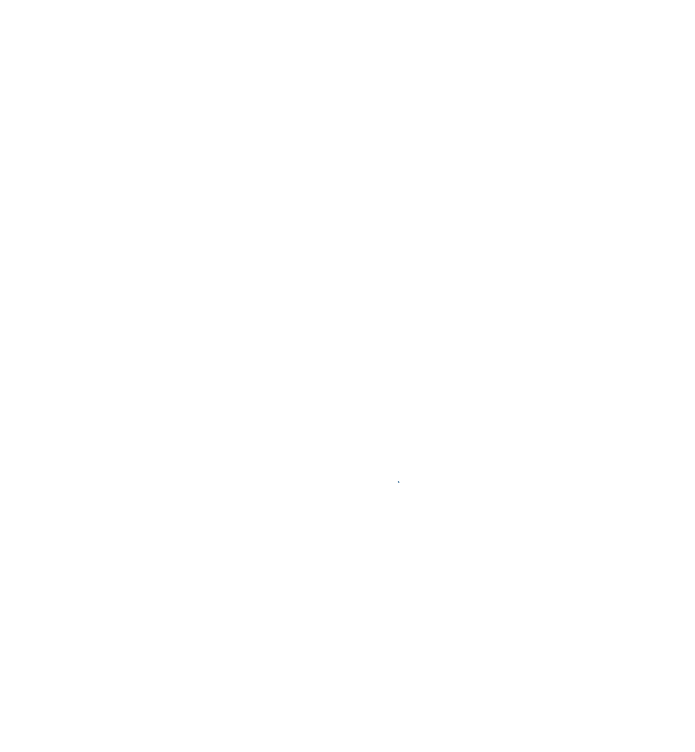 Mente Forte